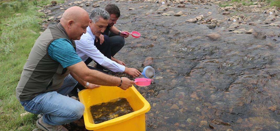 Doğal Alabalık Üretilmesi ve Orman İçi Suların Balıklandırılması Projesi
