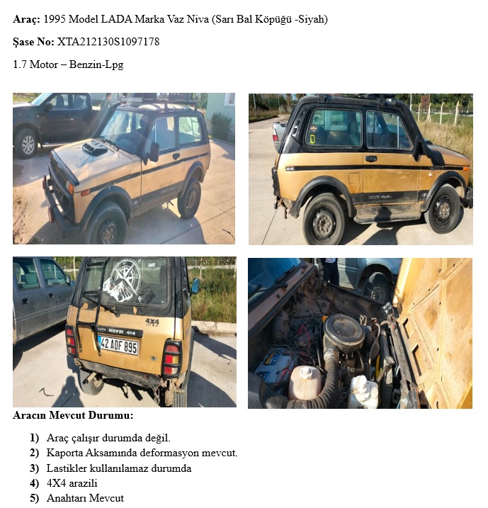 WhatsApp Image 2026-04-14 at 15.52.16(2).jpeg