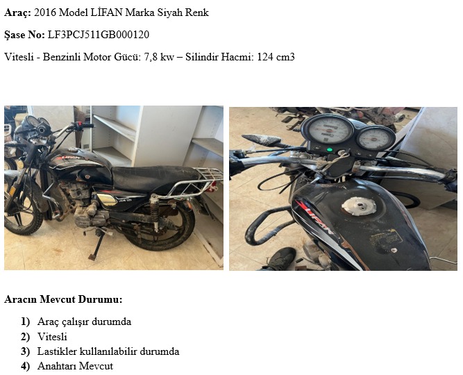 WhatsApp Image 2026-04-14 at 15.52.16(3).jpeg